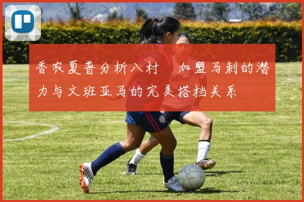 香农夏普分析八村塁加盟马刺的潜力与文班亚马的完美搭档关系